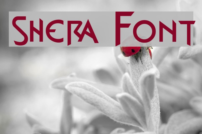 shera Font examples