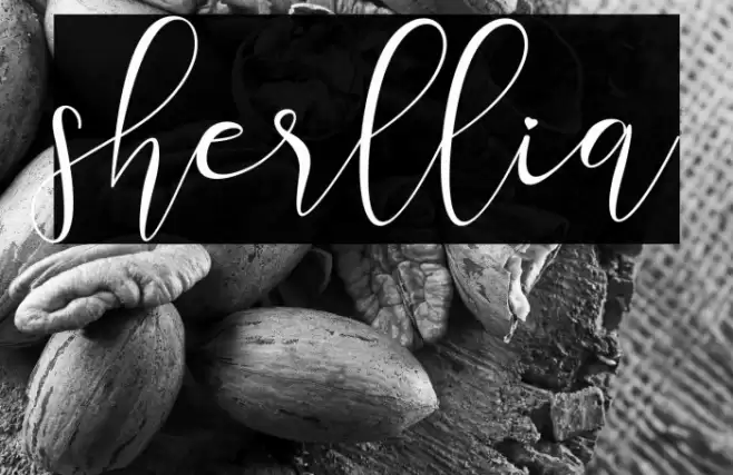 sherllia Font examples
