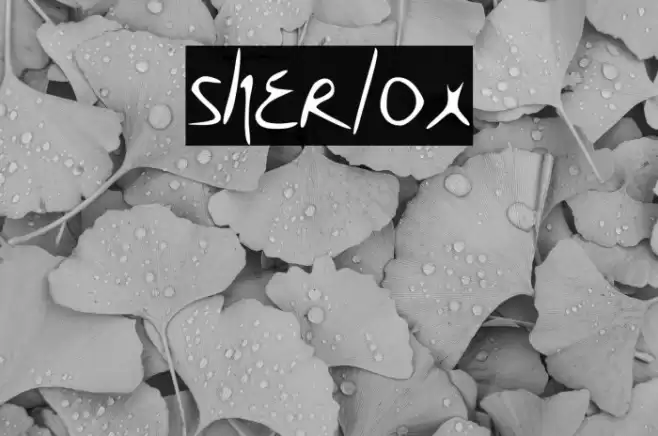 sherlox Fuentes examples