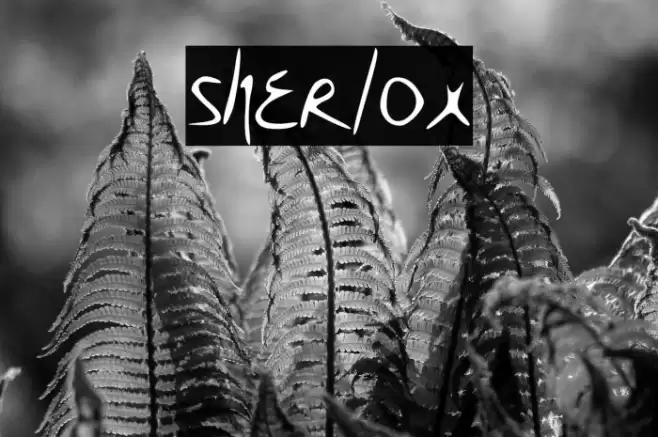 sherlox Fuentes examples