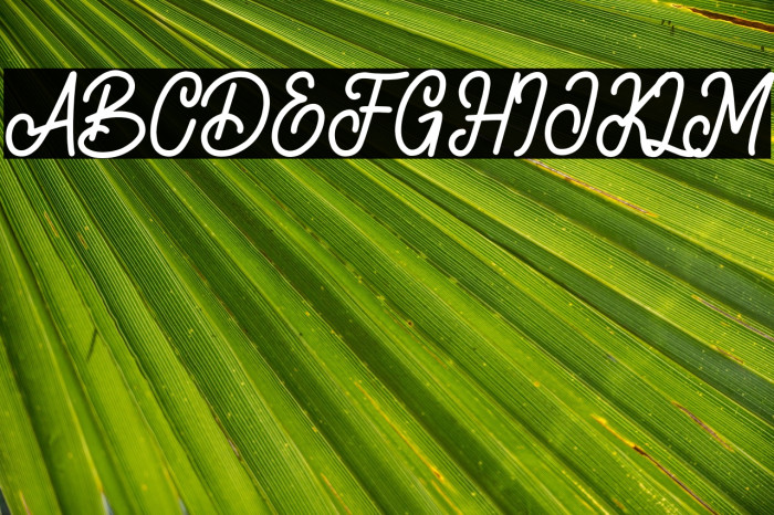 sherlyshane Example 3