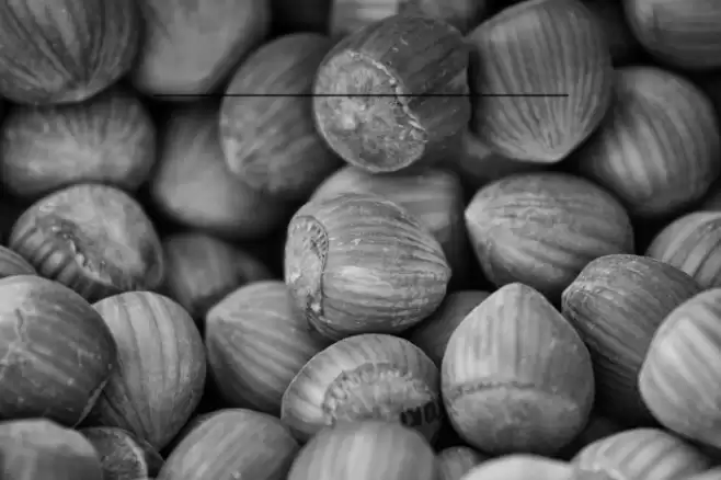 shirota Font examples