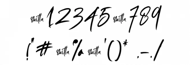 shitta-demo Font OTHER CHARS