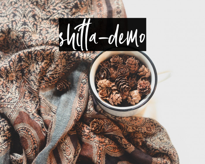 shitta-demo Example 1