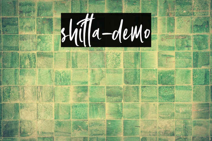 shitta-demo Example 2