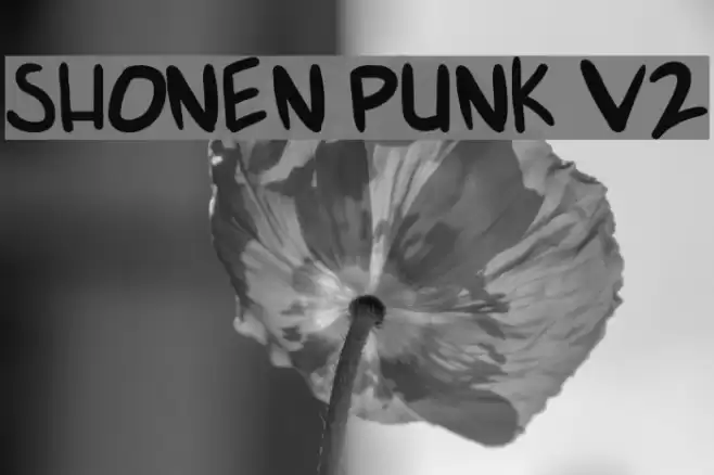 shonen punk v2 Polices examples