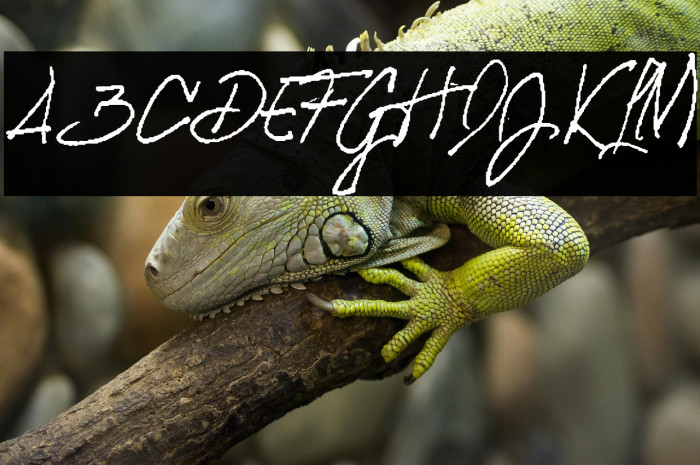 SIBERIAN Personal Use Regular Example 1