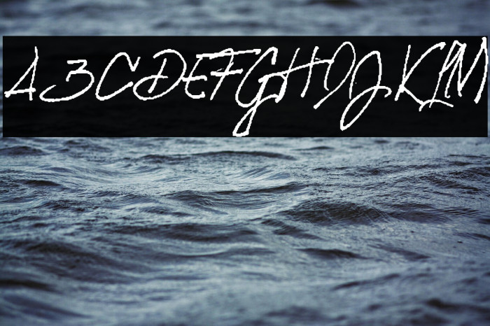 SIBERIAN Personal Use Regular Example 2