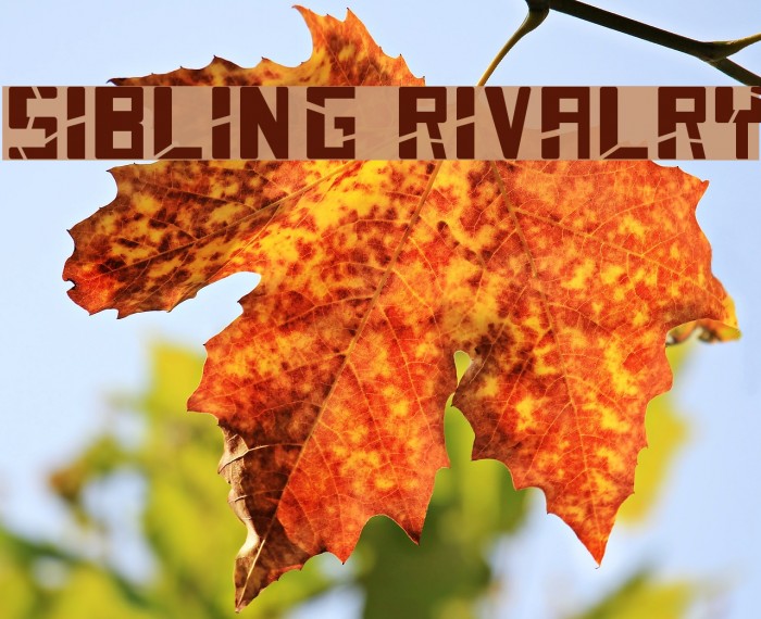 SIBLING RIVALRY Font examples