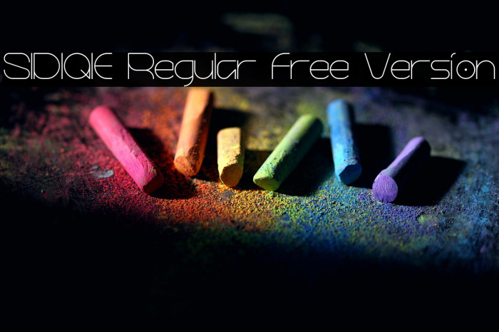 SIDIQIE Regular Free Version Example 1