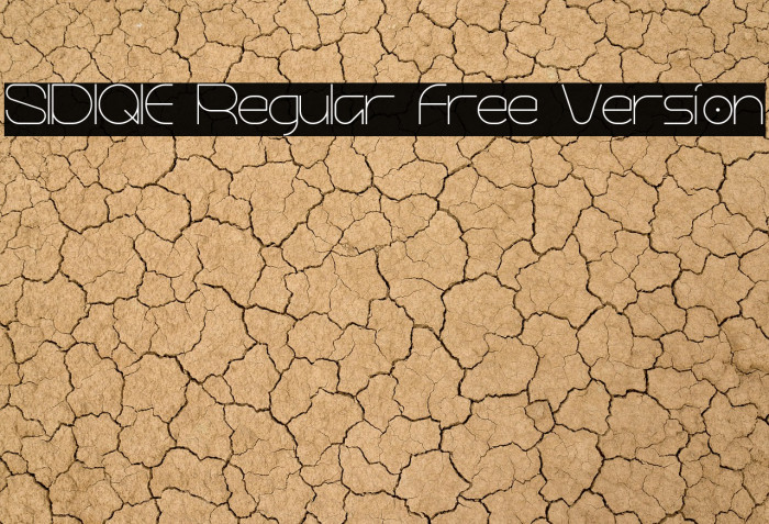 SIDIQIE Regular Free Version Example 2