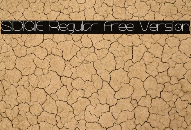 SIDIQIE Regular Free Version Example 2