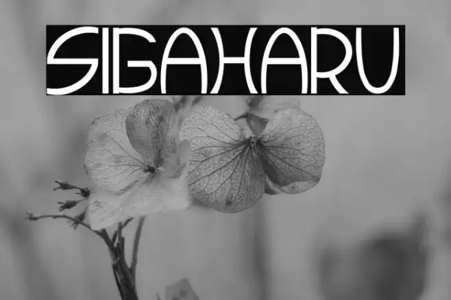 SIGAHARU Font examples