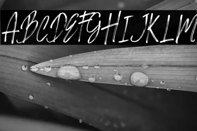 SIKATCH Font examples