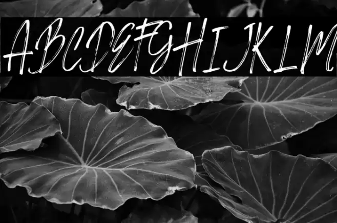 SIKATCH Font examples