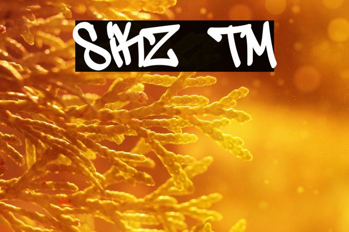 SIKZ TM Example 2