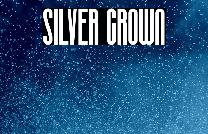 SILVER CROWN Example 1