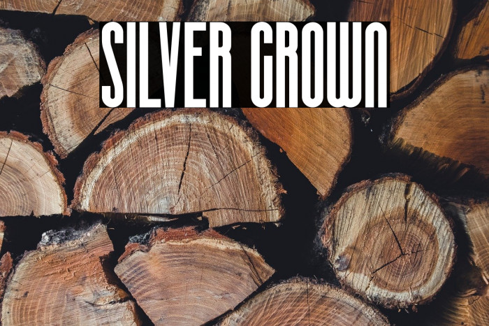 SILVER CROWN Example 2