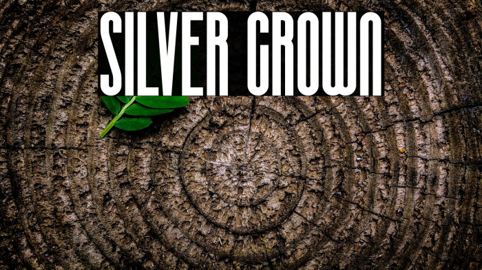 SILVER CROWN Example 3