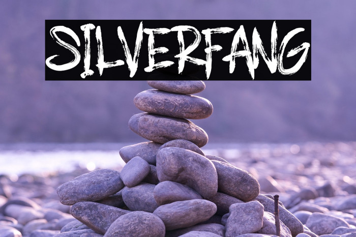 SILVERFANG Example 3