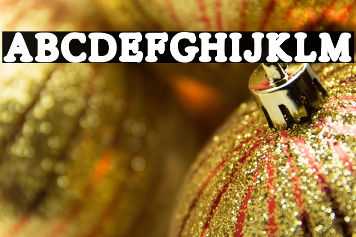 SILVERS CLEAN PERSONAL USE Regular Example 2