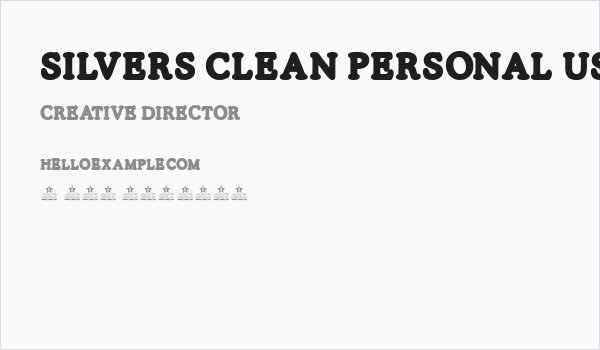 SILVERS CLEAN PERSONAL USE Regular Business Card