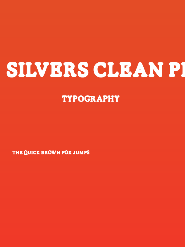 SILVERS CLEAN PERSONAL USE Regular Poster