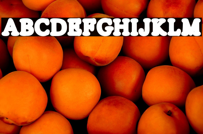 SILVERS LINE PERSONAL USE Regular Example 1