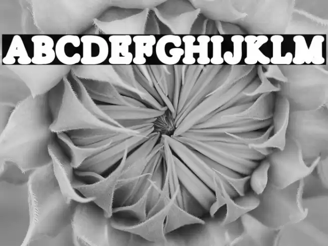 SILVERS LINE PERSONAL USE Regular Font examples