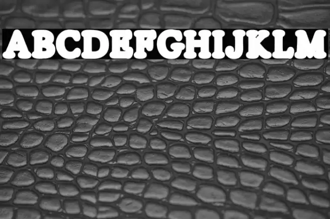 SILVERS LINE Regular フォント examples