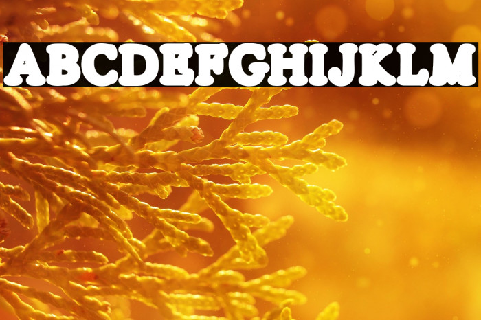 SILVERS LINE Regular Example 2