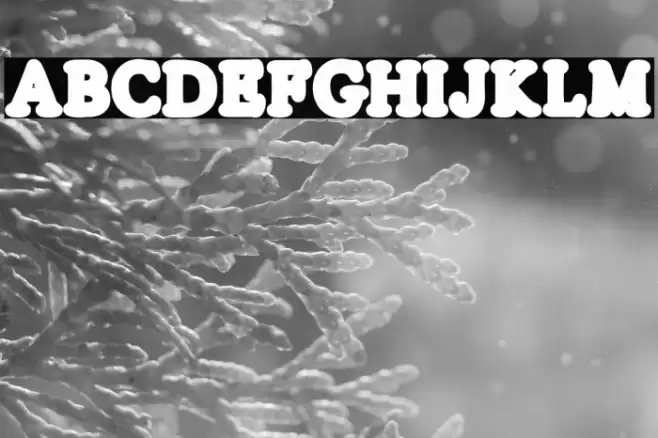 SILVERS LINE Regular フォント examples