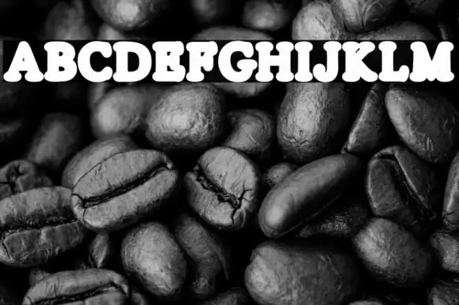 SILVERS LINE Regular フォント examples