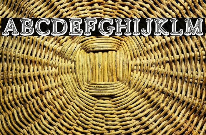 SILVERS PERSONAL USE Regular Example 2