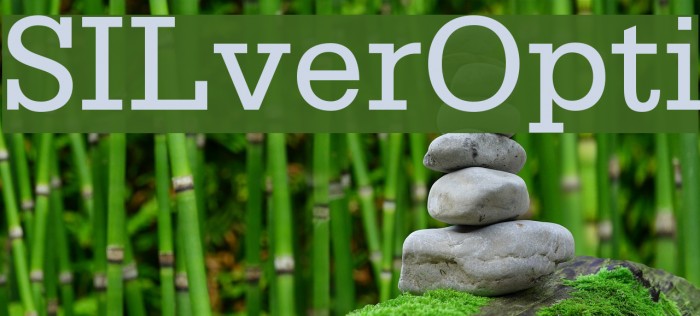 SILverOpti Example 1