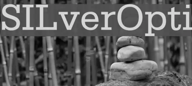 SILverOpti Font examples