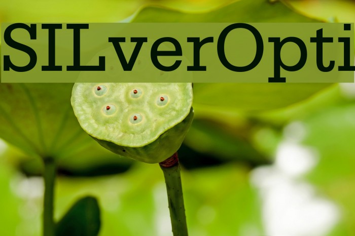 SILverOpti Example 3