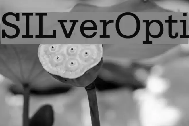SILverOpti Font examples