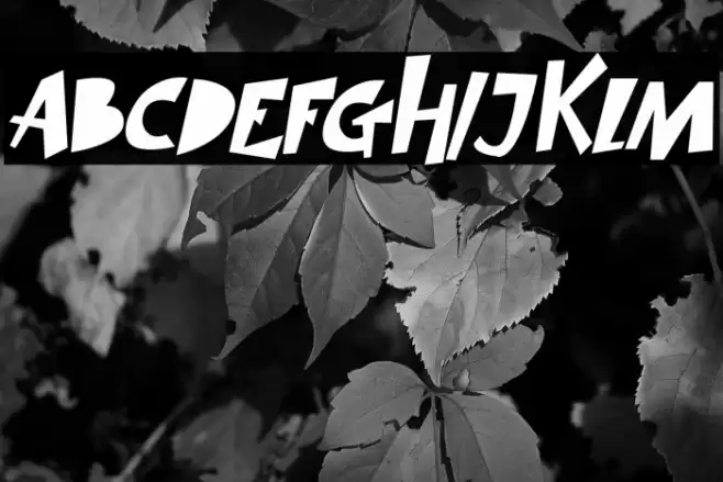 SIMBA KING Italic Font examples