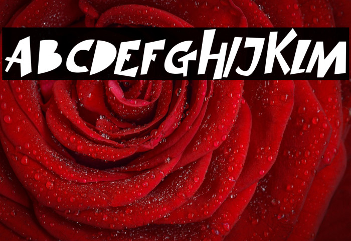 SIMBA KING Italic Example 3