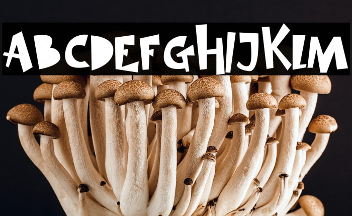 SIMBA KING Example 1