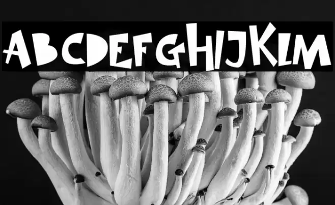 SIMBA KING Font examples