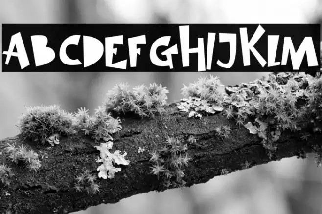 SIMBA KING Font examples