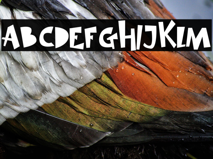 SIMBA KING Example 3