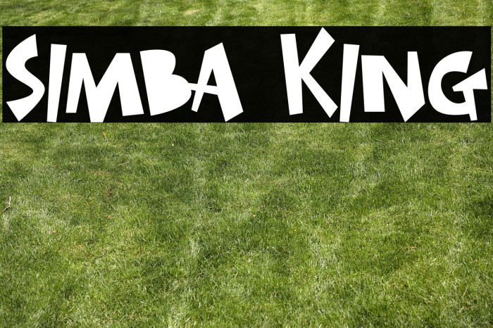 SIMBA KING Example 1