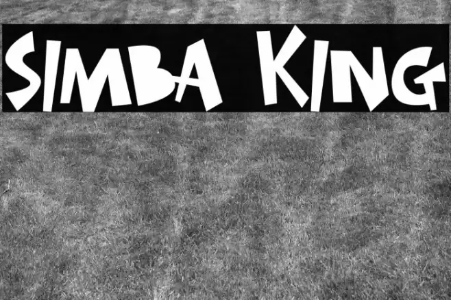 SIMBA KING Font examples
