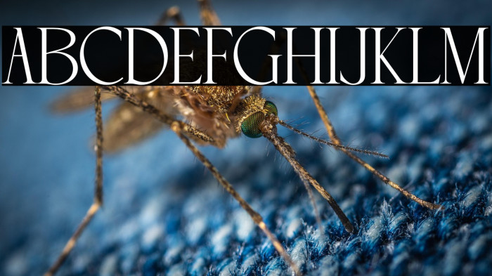 SIMPLE CANDY Example 2