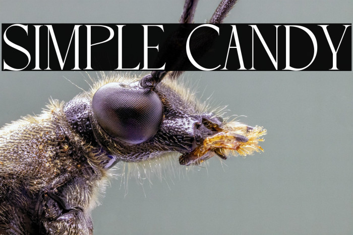 SIMPLE CANDY Example 2