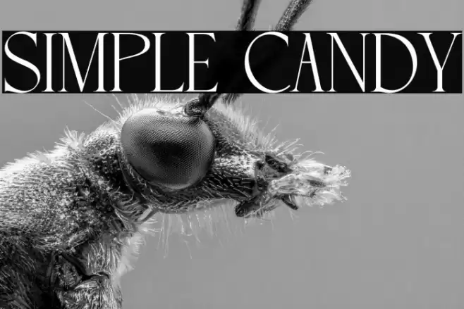 SIMPLE CANDY Font examples