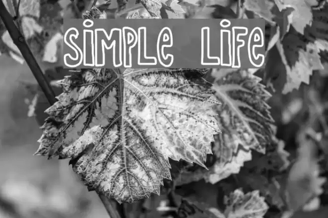 SIMPLE LIFE Font examples